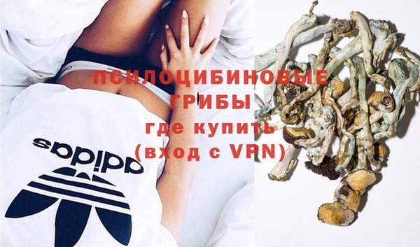 соль курить ск Строитель