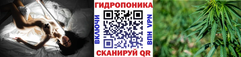 Бошки марихуана LSD WEED  mega зеркало  Купино  дарнет шоп 